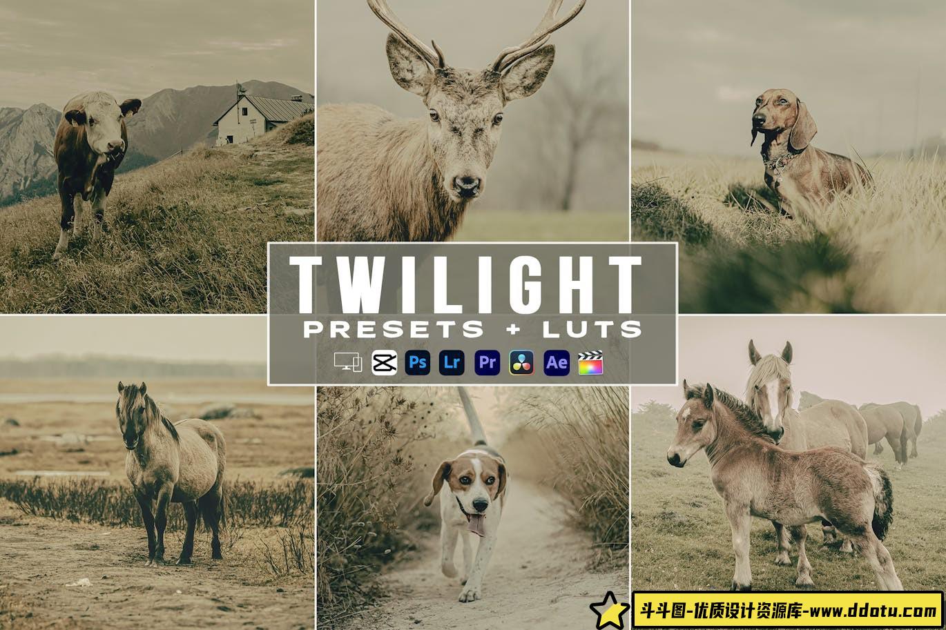 动物风光电影视频后期调色LUT预设 Twilight Lightroom Presets luts-斗斗图