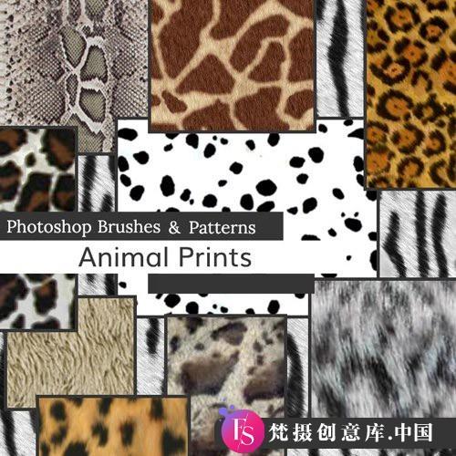 为 Photoshop 和 Elements 提供的动物印花画笔与图案合集-斗斗图