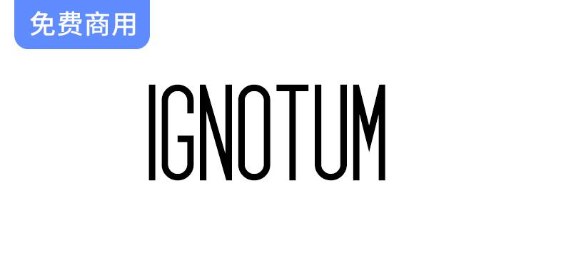 探索【Ignotum】SIL OFL免费英文字体：2种独特样式与308个精美字形等你来用！-斗斗图