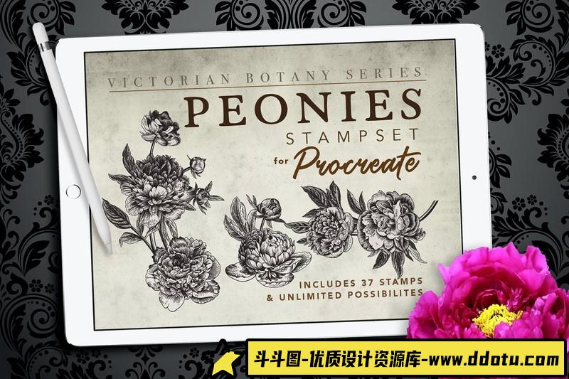 [Procreate笔刷]Procreate复古牡丹花植物图案画笔ProcreatePeoniesStampset-斗斗图