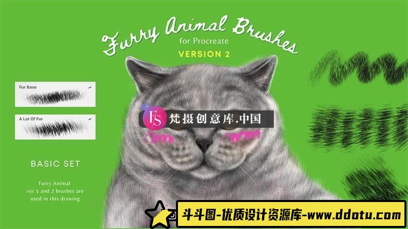 Procreate毛绒猫毛笔刷-斗斗图