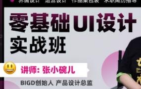 张小碗儿2022零基础UI设计实战班第1期【画质高清只有视频】-斗斗图