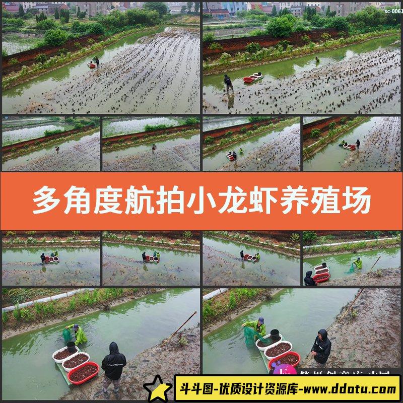 多角度航拍小龙虾养殖场收获场景4K视频素材农业水产河道美食-斗斗图