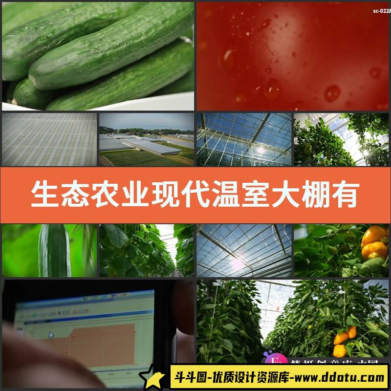 生态农业现代温室大棚有机栽培农产品蔬菜农作物高清实拍视频素材-斗斗图