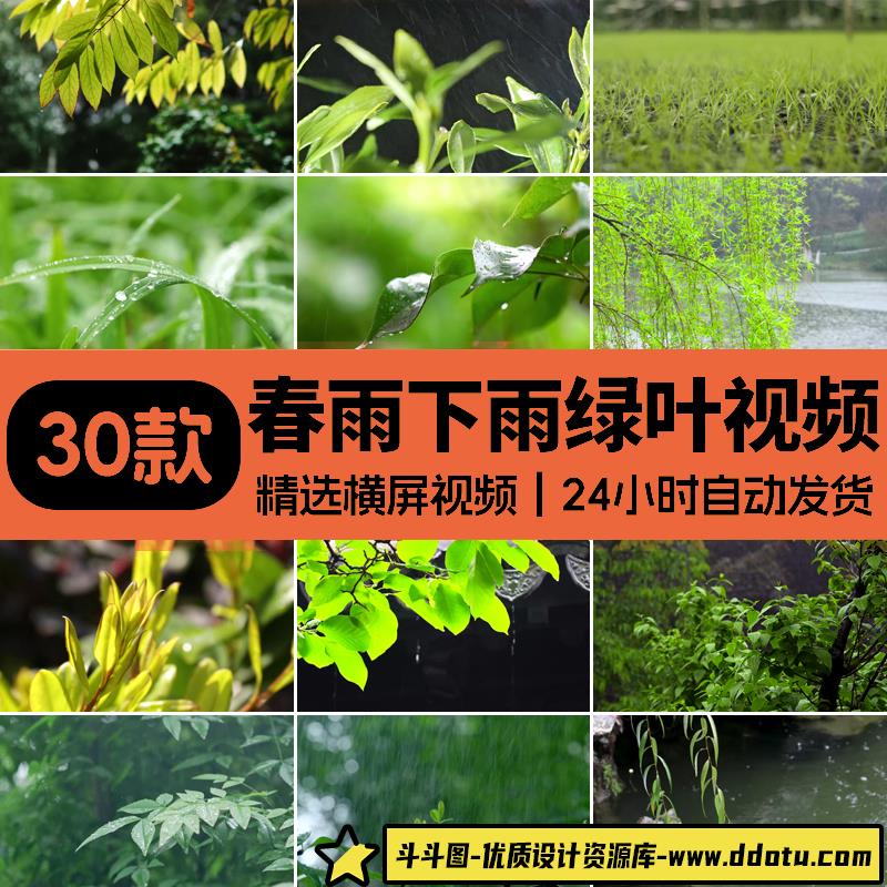 春雨下雨雨滴树叶春季春天绿叶雨滴树叶植物复苏意境实拍视频素材-斗斗图