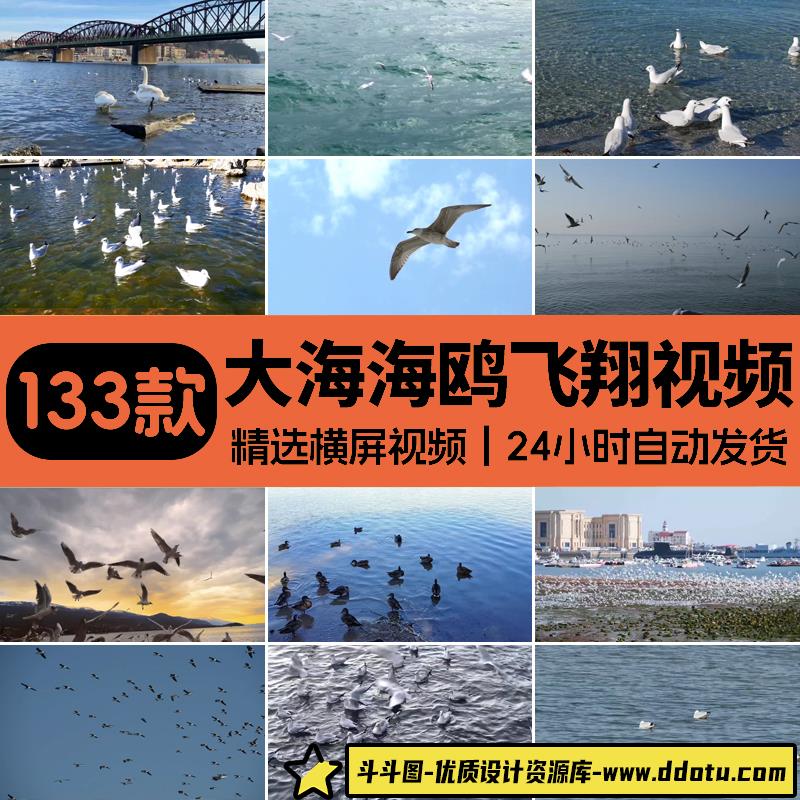 蓝天白云天空海鸥飞翔海洋沙滩海浪海边风景LED背景剪辑视频素材-斗斗图